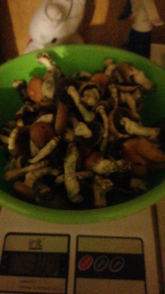 IMG-20210429-WA0018.jpeg
