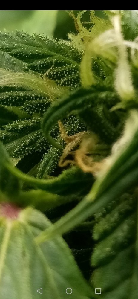 Screenshot_20210428_003041_com.android.gallery3d.jpg