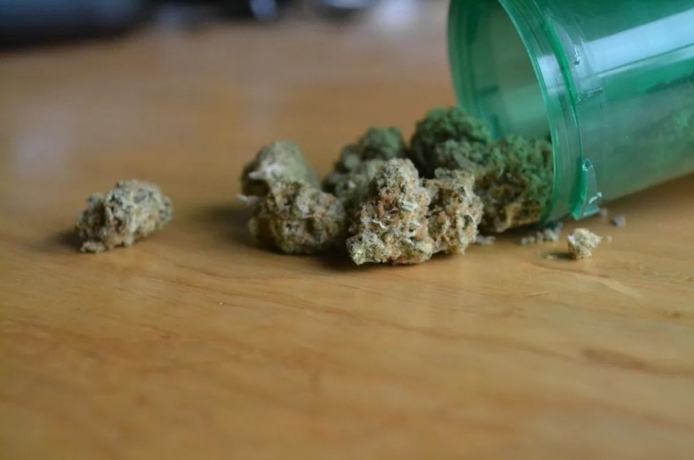 cannabis-debate-new-mexico.jpg