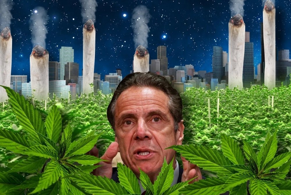cuomo-cannabis.jpg