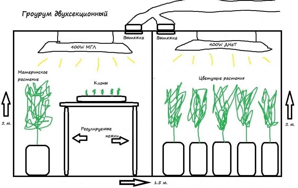 grow-room-design-6.jpg