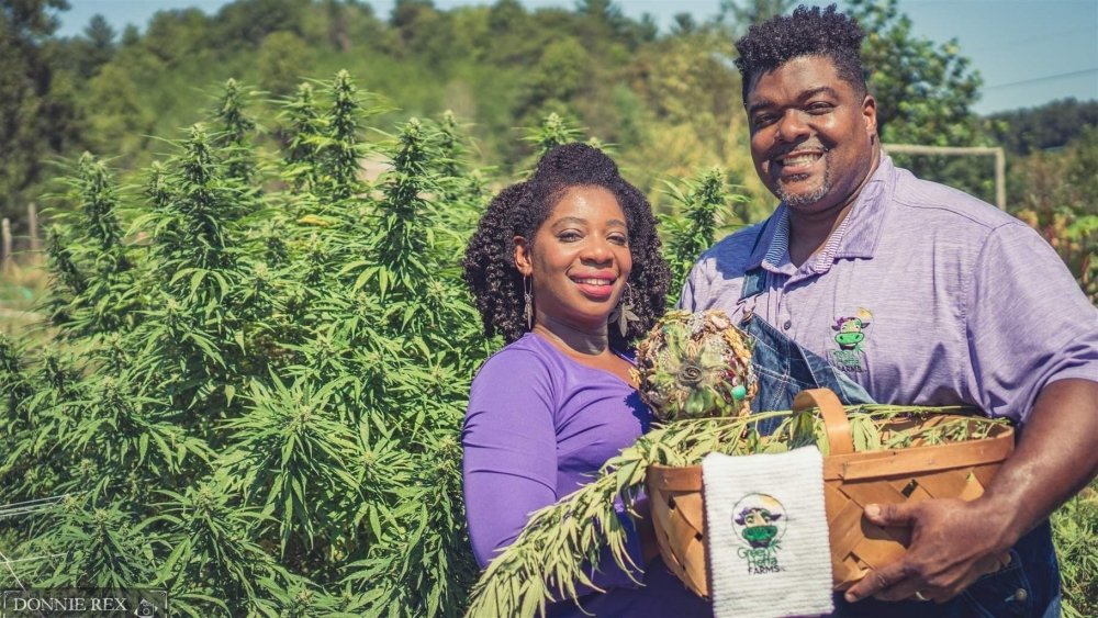 hemp-farmers-us.jpg