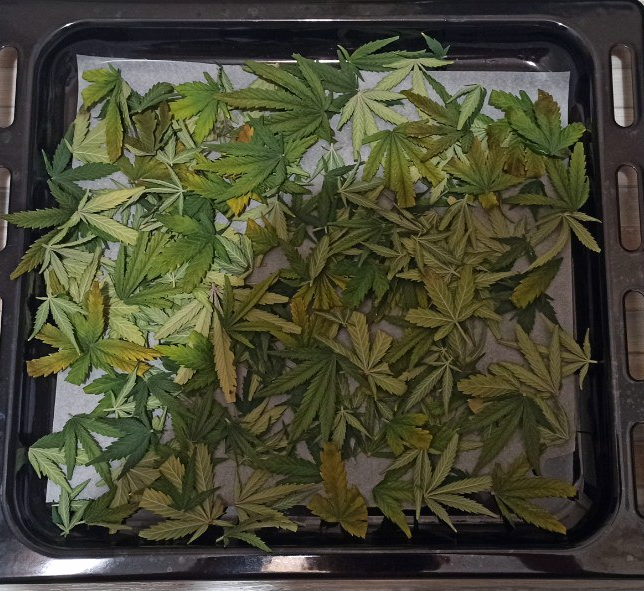 image.thumb.png.0e4274d5c066d7dbd4f52d65c3f21210.png