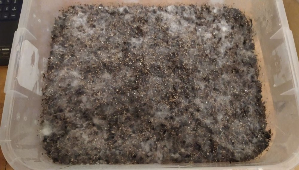 photo_2021-04-16_22-25-01.jpg