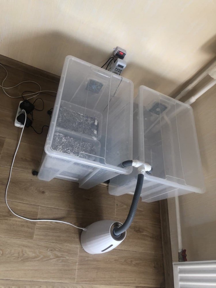 13-2.thumb.jpg.f5554716521897ddd4b4500e6064d67d.jpg