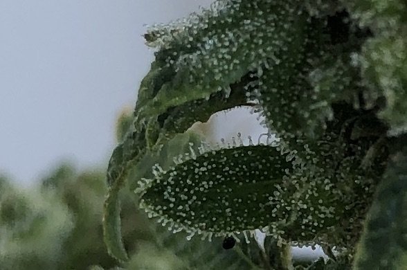 Копия IMG_7212.jpg