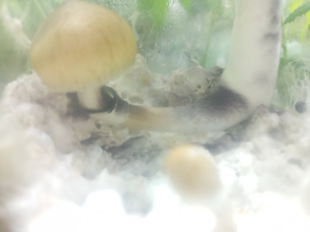 20210515_182652.jpg