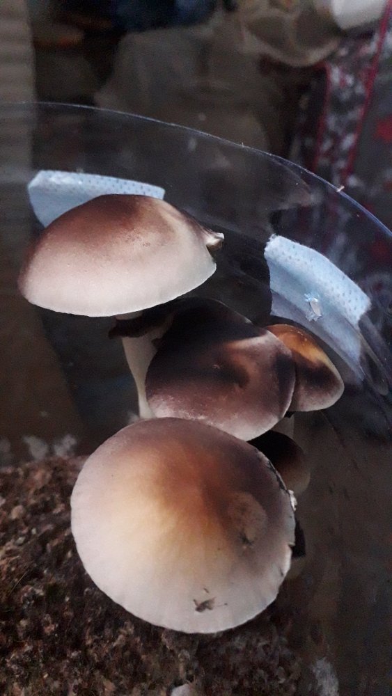 20210526_135335.jpg