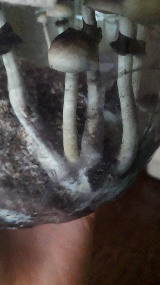 20210526_140755.jpg