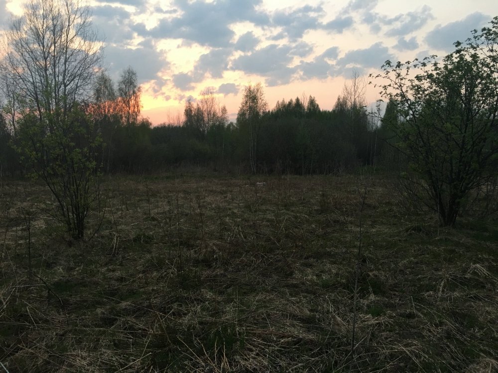 2F36B719-E9D5-42CB-A815-8E012A5C6588.jpeg