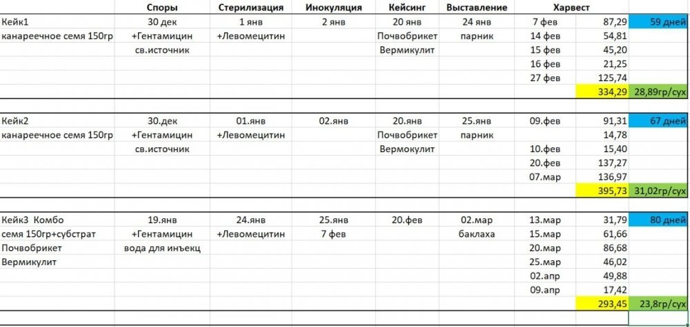 статистика.jpg