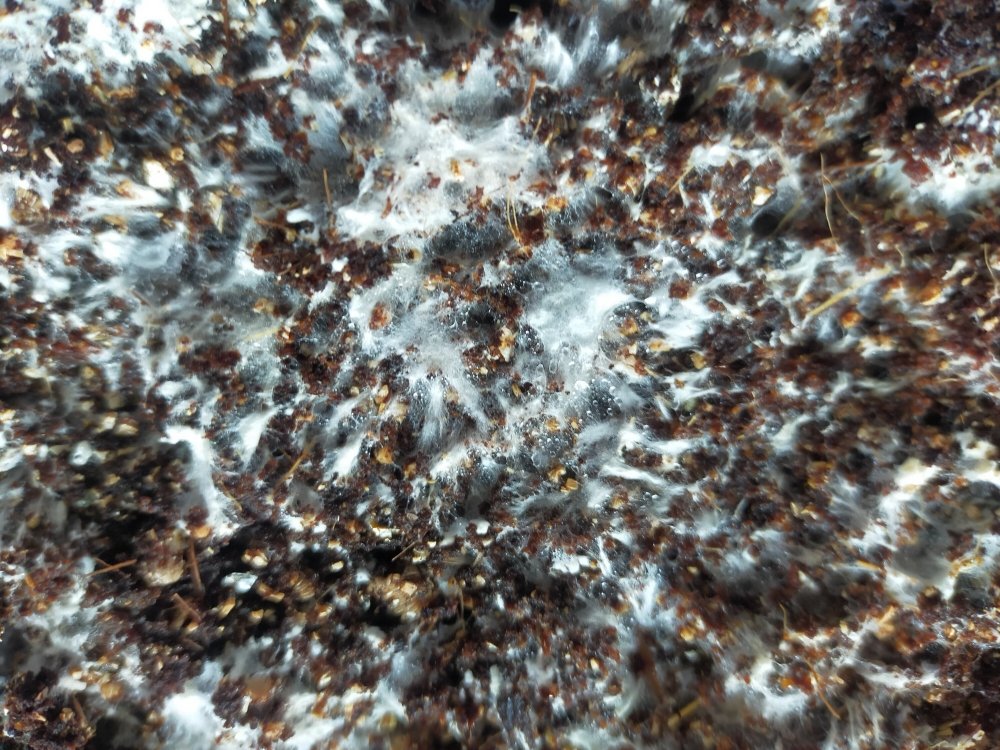 3 — копия — копия.jpg