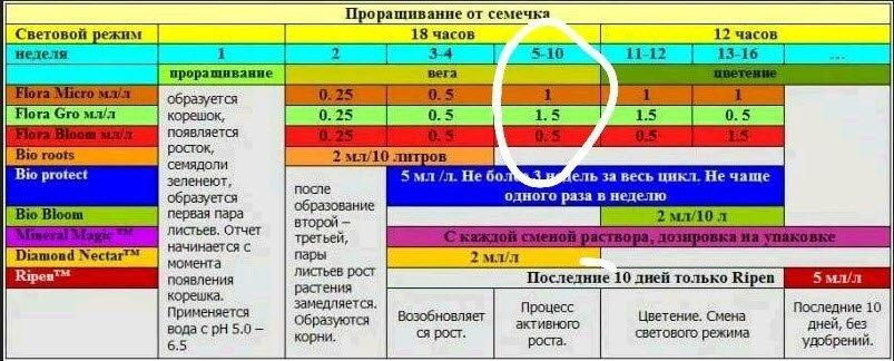 Сколько ппм