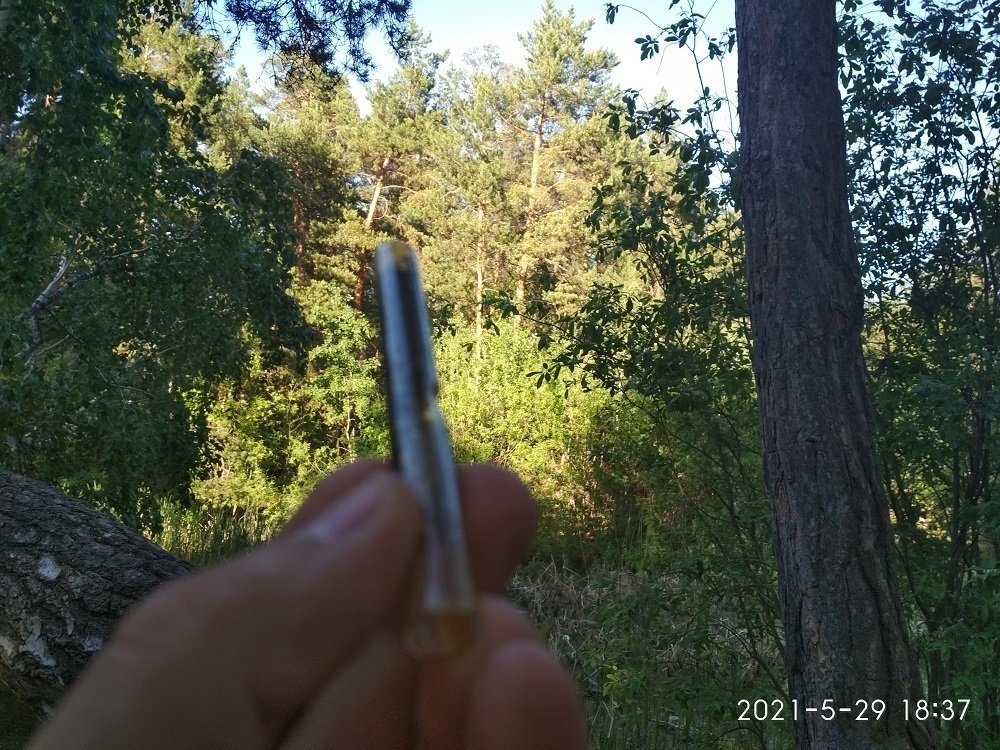 866261102_.thumb.jpg.d1fa1de5f121de3a0ecc6aa78ec9bd00.jpg