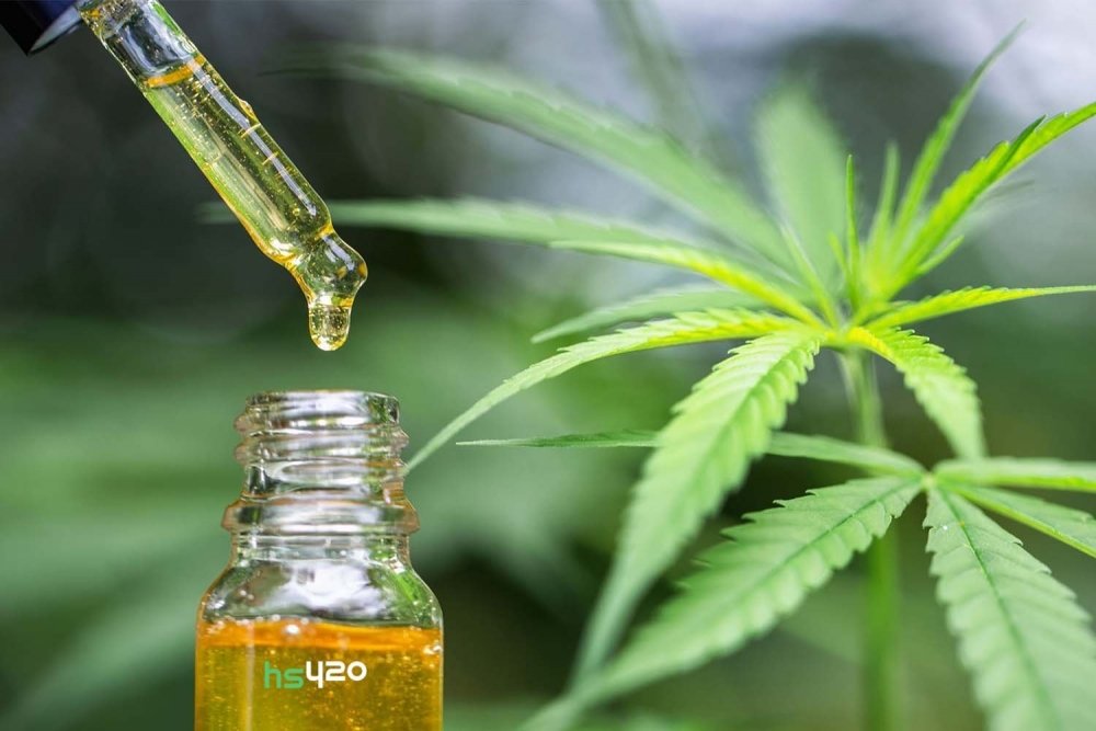 cannabis-oil-storage(1).jpg