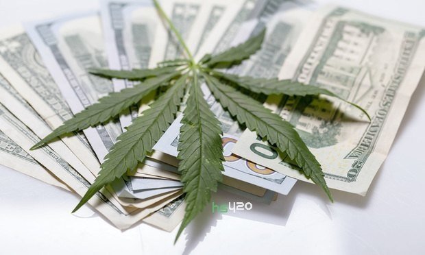 cannabis-price-differ(1).jpg