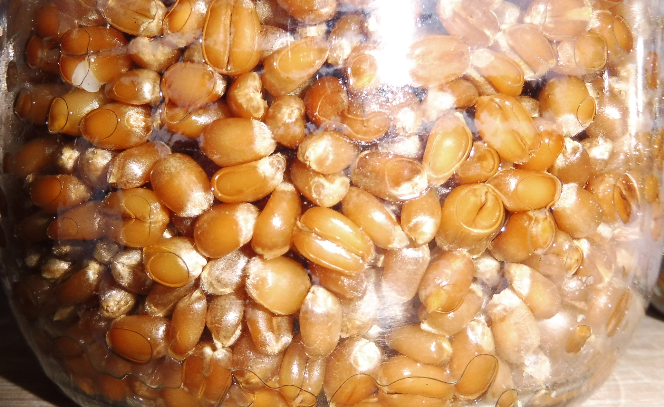 image.thumb.png.1b3bb191e263b943c50f771b581b7ad7.png