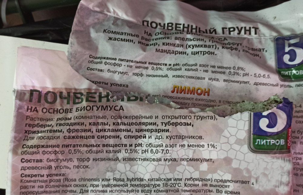image.thumb.png.bf21d2a5929beba6b6a87bf566c0e257.png