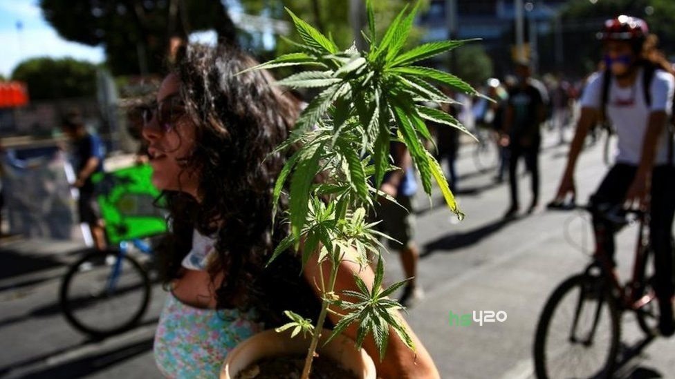 mexico-cannabis-march-activist(1).jpg