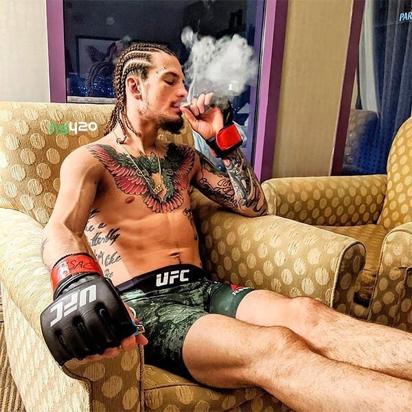 sean-omalley-cannabis(2).jpg