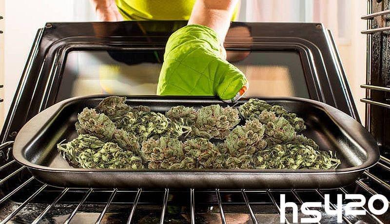 Высушить коноплю в духовке влияет ли марихуана на бесплодие