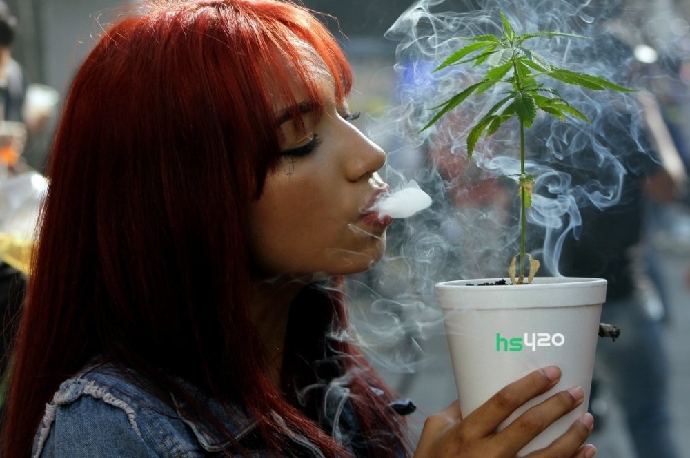cannabis-smoke-vaccine (1).jpg