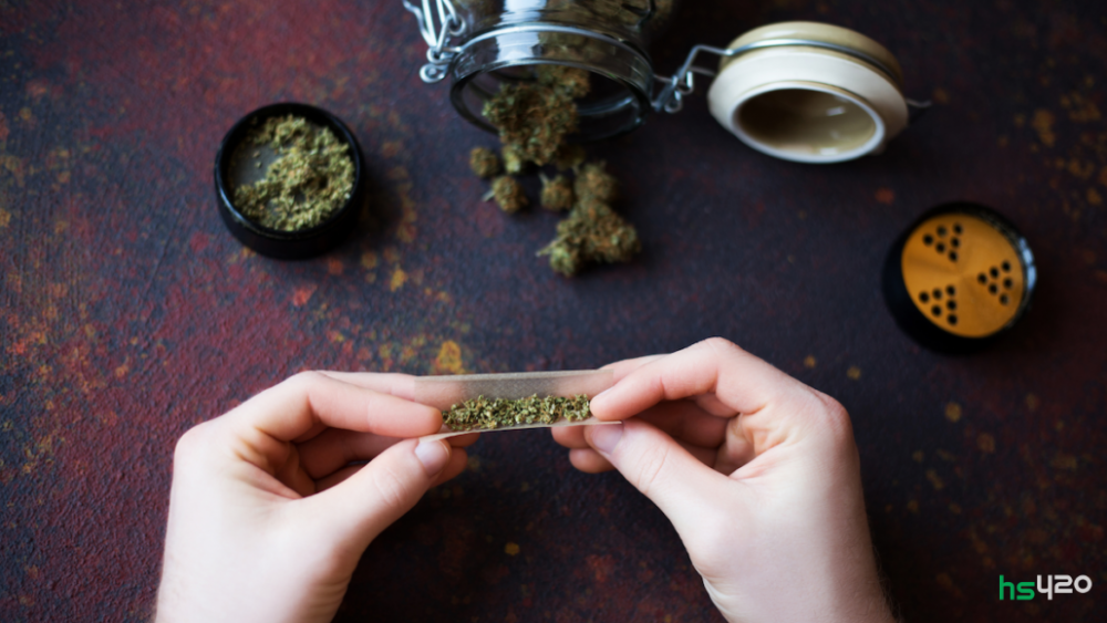 cannabis-tolerance-build-up (1).png
