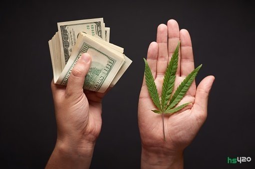 cannabis-money (1).jpg