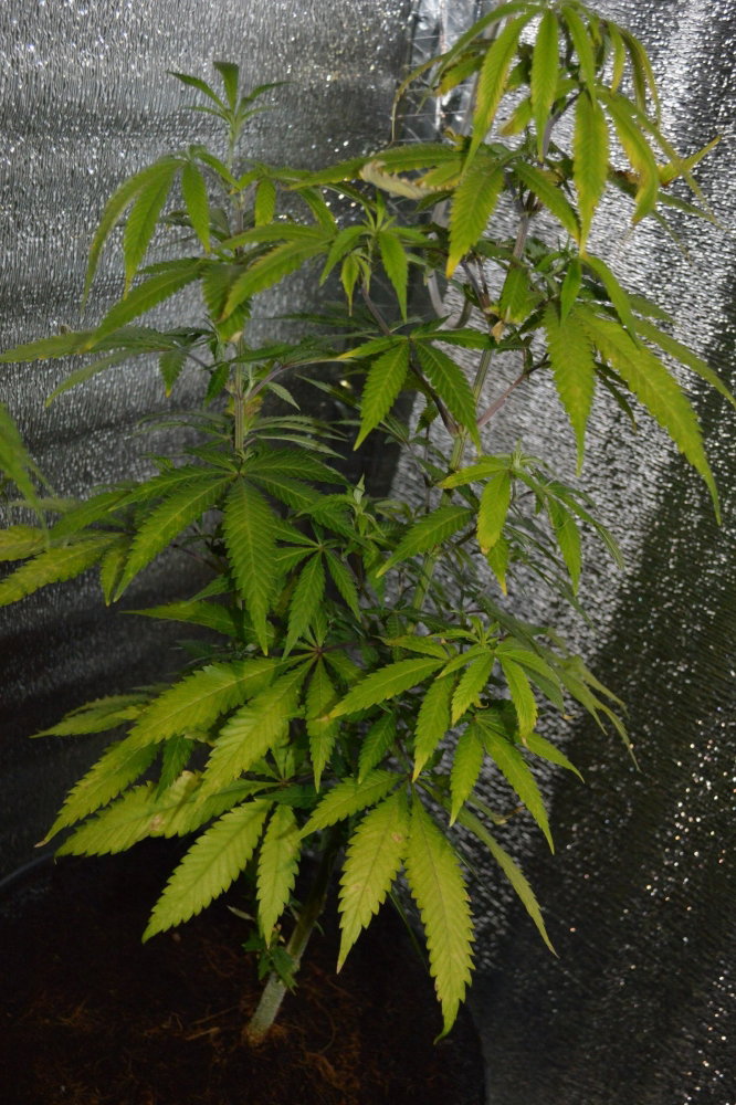 DSC_6348.JPG