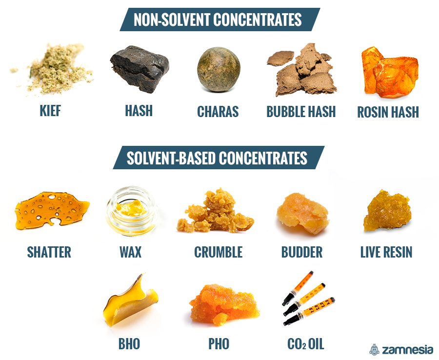 Everything-You-Need-To-Know-About-Cannabis-Concentrates-EN.thumb.png.5d9ba4c08789c2f117c3fcfaf7401094.png