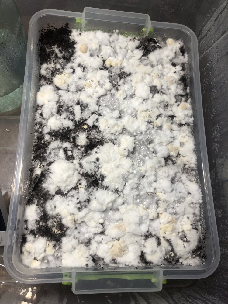 F31D14A8-95D0-4033-97E7-8050BD5A4A54.jpeg
