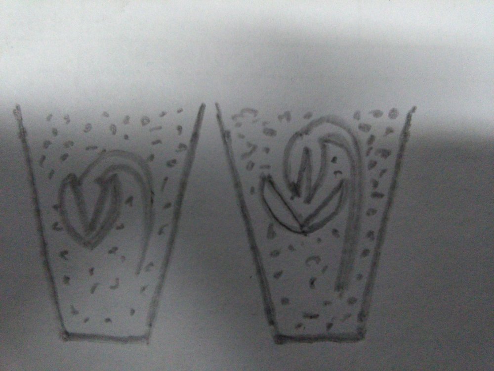 IMG_20210616_080357.jpg