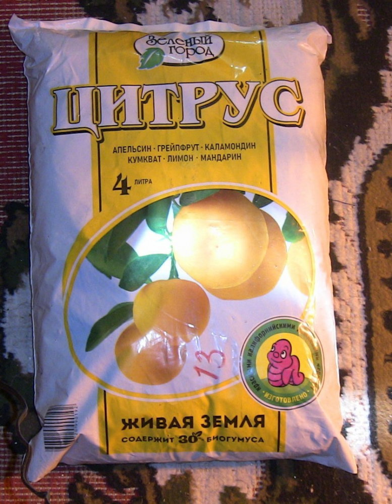 IMG_5554.thumb.JPG.97961c8858f08f45a4878fc76561b95f.JPG