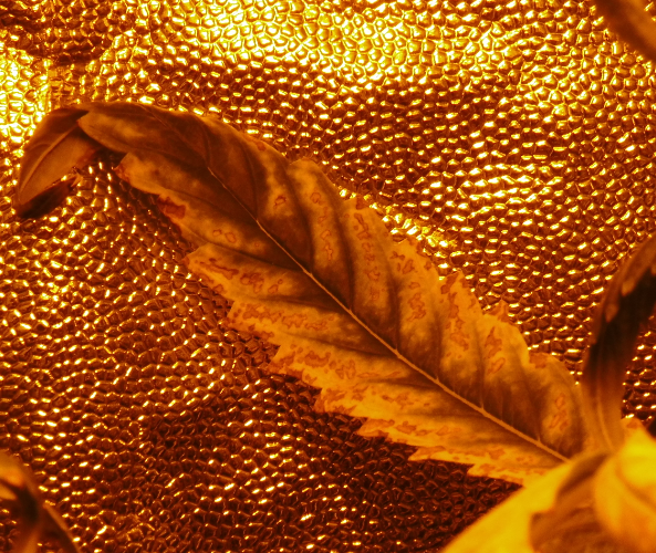 image.thumb.png.6ca801ae666883147d932eb6b70cc1a1.png