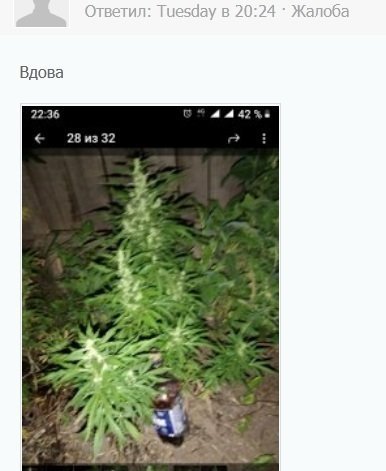 1263892561_53.thumb.jpg.a4d56bd280bbd8e6b6d93e04bd8602a9.jpg
