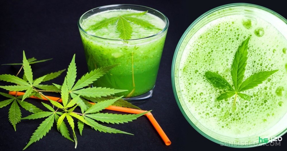 cannabis-juice (1).jpg