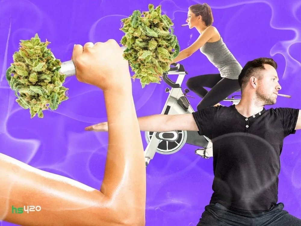 cannabis-and-exercises (1).jpg