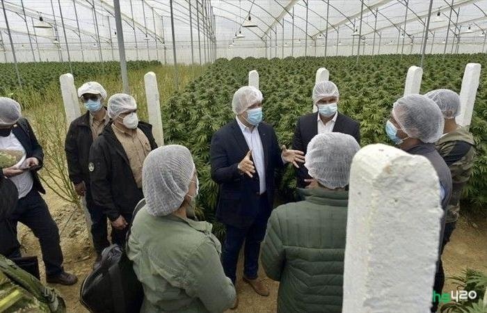 ivan-duque-cannabis (1).jpg