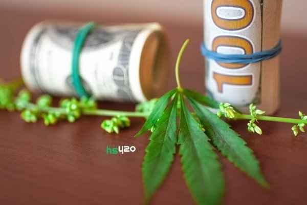 cannabis-money(1) (1).jpg