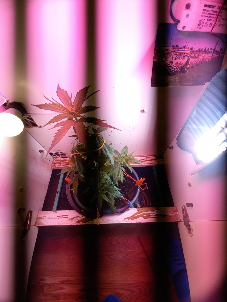 20210708_115521.jpg