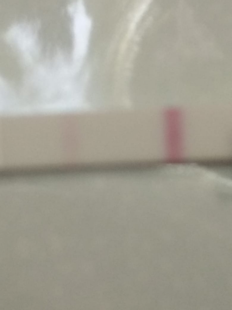208124876_.thumb.png.9901f8252d7094bd3af66c59003c8510.png