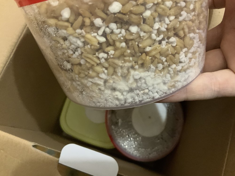 6B087701-D460-48B7-AC9B-890418995E47.thumb.jpeg.ca7fa12c32a1b444babb5e0c19a415cc.jpeg