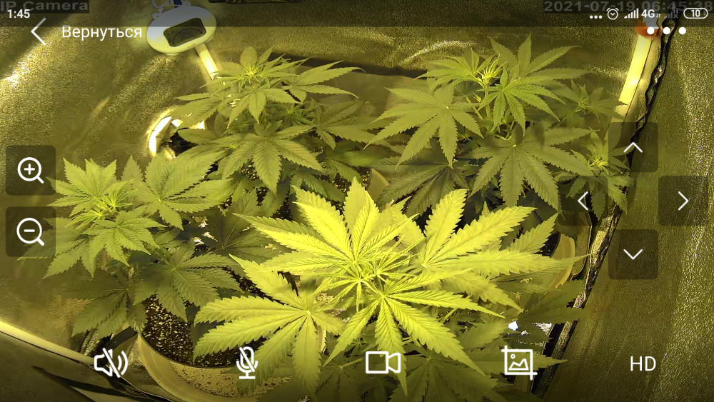 Screenshot_2021-07-19-01-45-41-265_com.hichip.campro.png