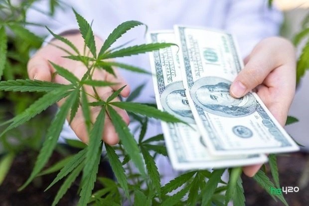 cannabis-prices (1).jpg