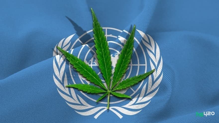cannabis-un-vote (1).jpg