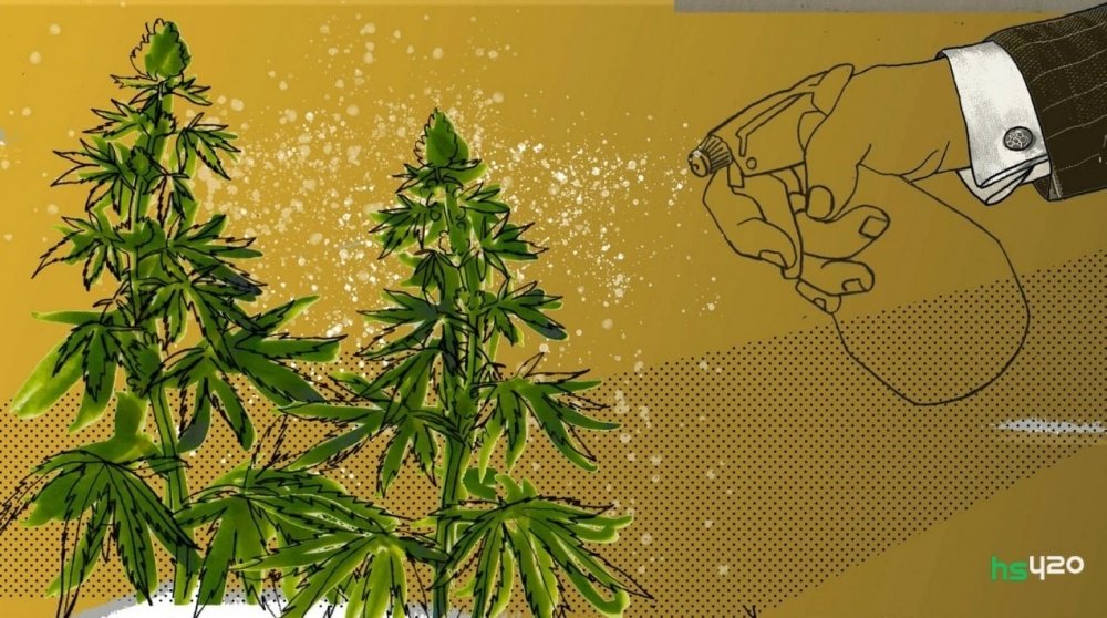 cannabis-investment-eu (1).jpg