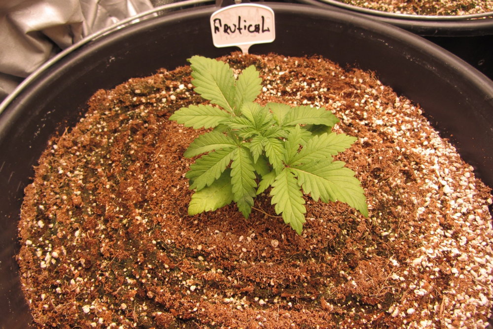 IMG_5689.JPG