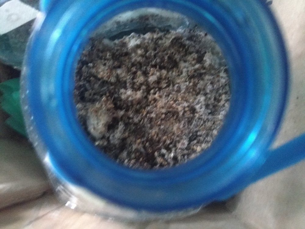 P_20210829_070117_vHDR_On.jpg