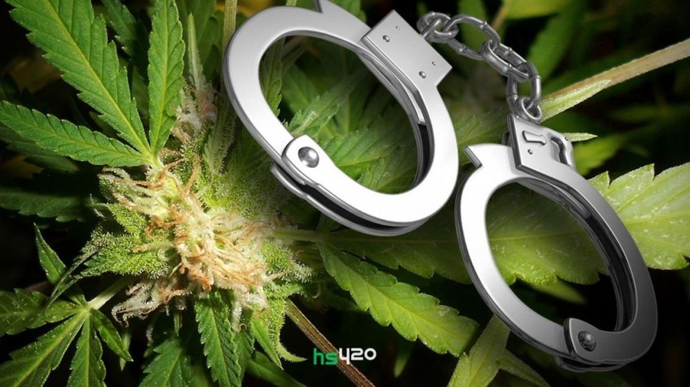 cannabis-vs-crimes-2.jpg