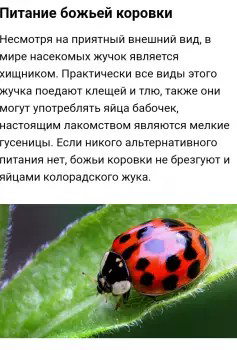image.thumb.png.087f6ed51f927d3f7bf2e524123b211f.png